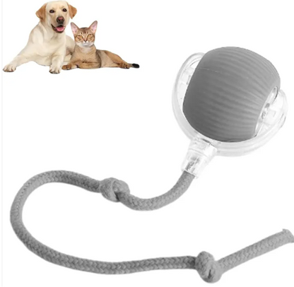 Automatic Rolling Cat Ball with Rope
